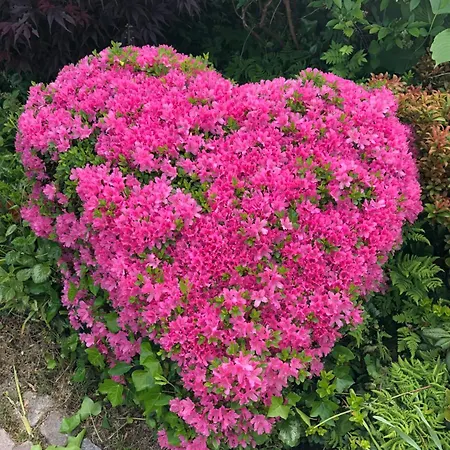 Apartman Engbo Sindal